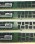 Super Talent - DDR3 - module - 16 GB - DIMM 240-pin - 1866 MHz / PC3-14900 - registered