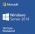 Microsoft Windows Server 2019 - license - 5 user CALs