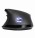 EVGA X17 - mouse - black