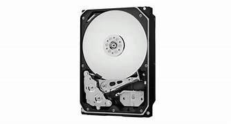 WD Gold Datacenter Hard Drive WD1005FBYZ - hard drive - 1 TB - SATA 6Gb/s