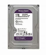 WD Purple WD10PURZ - hard drive - 1 TB - SATA 6Gb/s