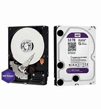 WD Purple WD30PURZ - hard drive - 3 TB - SATA 6Gb/s