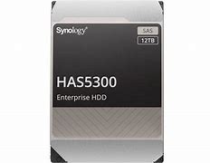 Synology HAS5300 - hard drive - 16 TB - SAS 12Gb/s