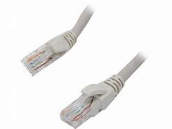 VCOM patch cable - 14 ft - blue