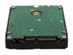Seagate Exos 7E2000 ST1000NX0333 - hard drive - 1 TB - SAS 12Gb/s