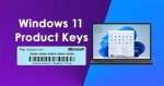 Windows 11 Pro - license - 1 license